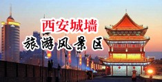大黑肉棒视频中国陕西-西安城墙旅游风景区
